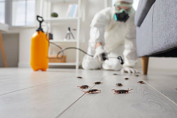 Commercial Kitchen Cockroach Control in Newkirk