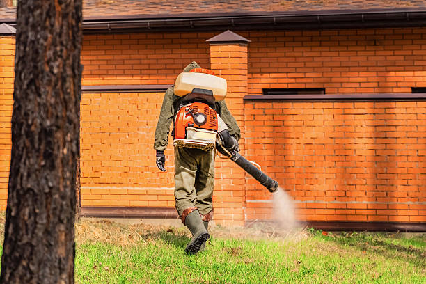 Cockroach Follow-Up and Monitoring in Newkirk